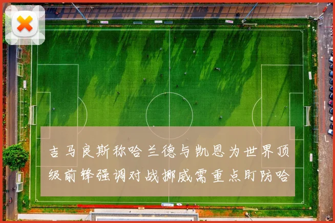 吉马良斯称哈兰德与凯恩为世界顶级前锋强调对战挪威需重点盯防哈兰德