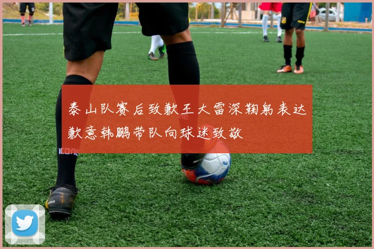 泰山队赛后致歉王大雷深鞠躬表达歉意韩鹏带队向球迷致敬