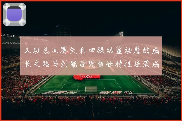 文班总决赛失利回顾幼鲨幼詹的成长之路马刺能否凭借独特性逆袭成功
